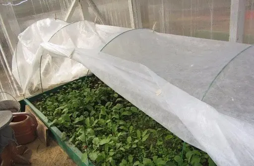 Полотно прошитое для парника Shadow 42 г/м² 2.1 x 5 м ПОЛОТ000091 - фото 2