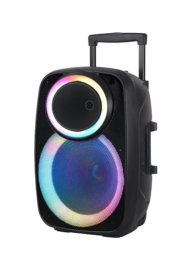 Профессиональная Bluetooth колонкa NDR-A55 15-дюймовая с беспроводным микрофоном