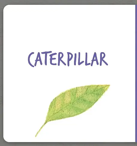 Insects. Collect the rainbow - фото 5