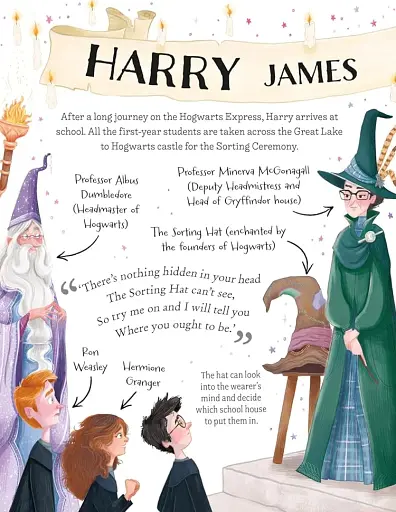 Pocket Potters: Harry Potter - Ролінґ Джоан - фото 4