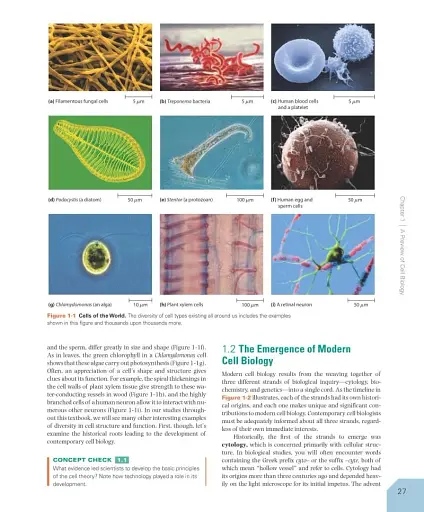 Becker's World of the Cell. 9th Global Edition - фото 4