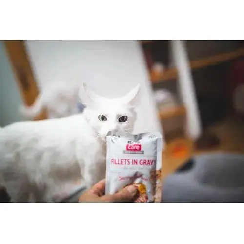 Влажный корм Brit Care Cat Pouch для кошек филе в соусе пикантный лосось 85 г - фото 3