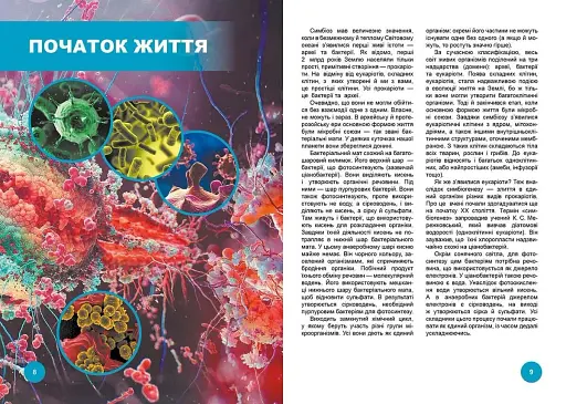 Хто з ким дружить, або дивовижі симбіозу - фото 2