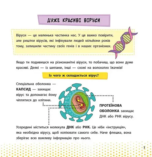 Просто про науку. Ці неймовірні віруси - фото 2