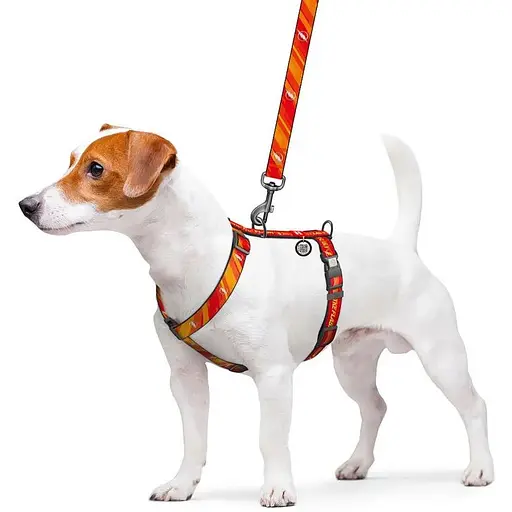 Шлея для собак Waudog Nylon анатомічна H-подібна з QR-паспортом, світловідбивна, малюнок "Флеш Лого", пластиковий фастекс, L - фото 4