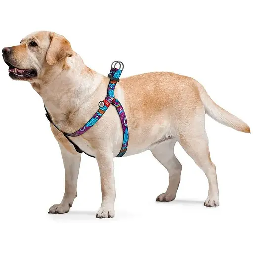 Шлейка для собак Waudog Nylon с QR паспортом, рисунок "Лето", пластиковый фастекс - фото 3