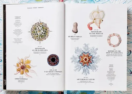 The Art and Science of Ernst Haeckel - фото 3