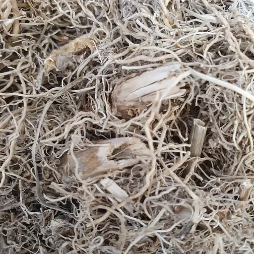 100 г синюха блакитна коріння сушене - свіжий урожай