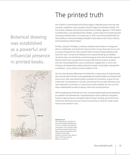 Botany for the Artist - фото 3