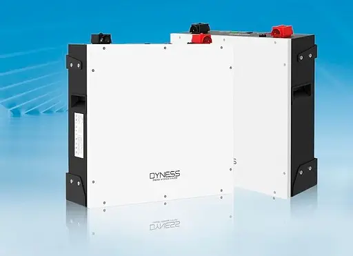 Акумулятор Dyness DL5.0C LiFePO4 48V 51.2V/100Ah/5120Wh [124403] - фото 10