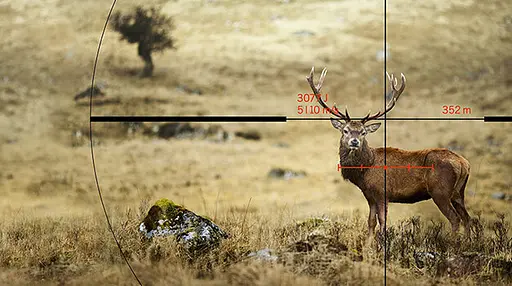 Оптический прицел Swarovski DS 5-25x52 P - фото 9