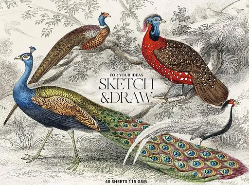 Блок для ескізів та малювання А5 40 арк. MUSE. Професійний блок Школярик (ВД-лак) PB-GB-040-068 4823088230680 - фото 1