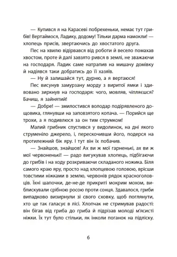 Таємниця химерної пасіки, або Шалені шершні - фото 10