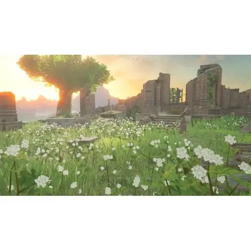 Игра The Legend of Zelda Breath of the Wild + The Legend of Zelda Tears of the Kingdom Double Pack - фото 5