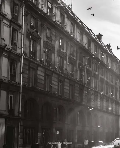 Paris Blues - фото 6