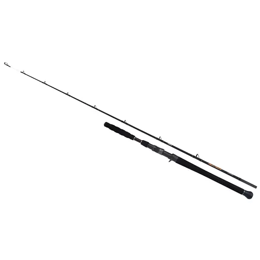 Спінінг Shimano Beastmaster Catfish Vertical 185cm 200 г 1+1pc Casting