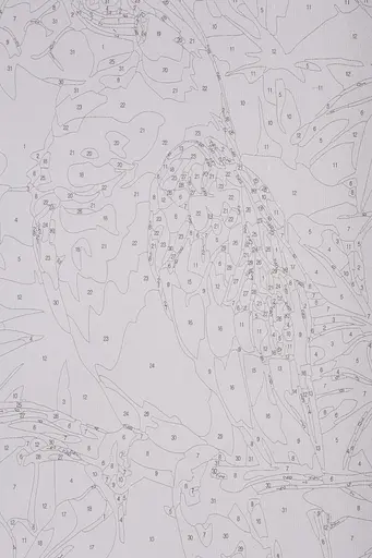 Набор для росписи "Пара попугаев" 40*50 см, IDEA2-GX47439, ТМ "99IDEAS" - фото 7