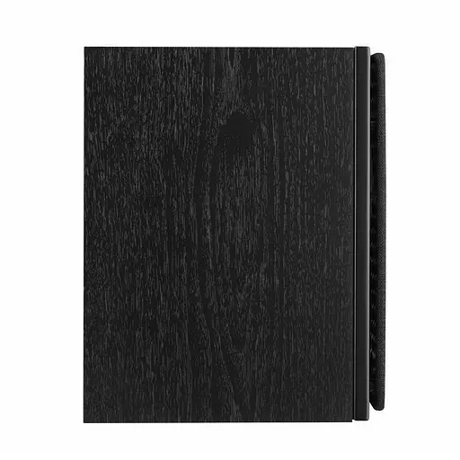 Акустические полочные колонки Hi-Fi DALI Oberon 1 Black Ash - фото 2