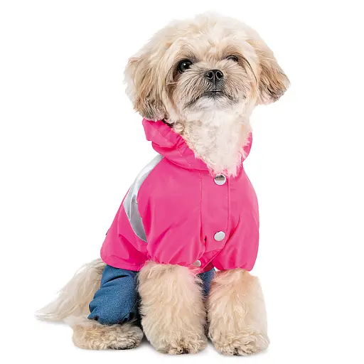 Дождевик для собак Pet Fashion Betty S2 девочка (PR244366) - фото 2