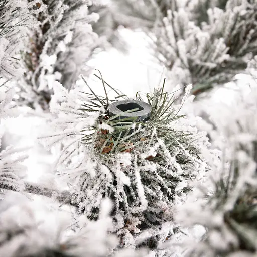 Ялинка Yes! Fun Ситхінська лита 2.4 м засніжена (903568) - фото 9