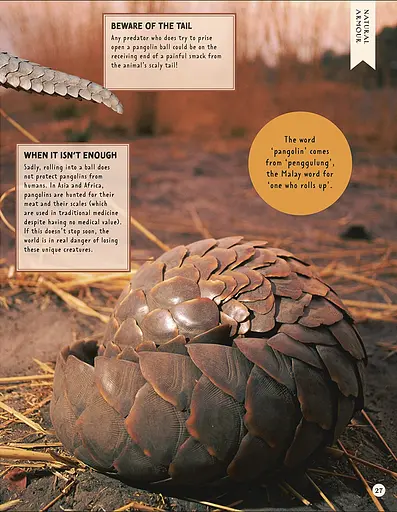 How Not to Get Eaten - фото 8