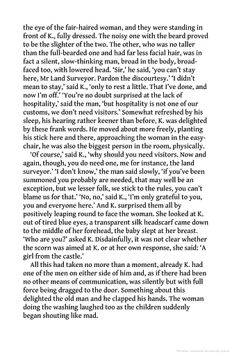 The Castle - фото 12