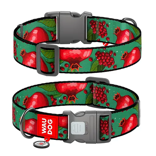 Ошейник для собак нейлоновый Waudog Nylon с QR-паспортом "Гранаты" пластиковый фастекс XXL Ш 35 мм Д 46-70 см