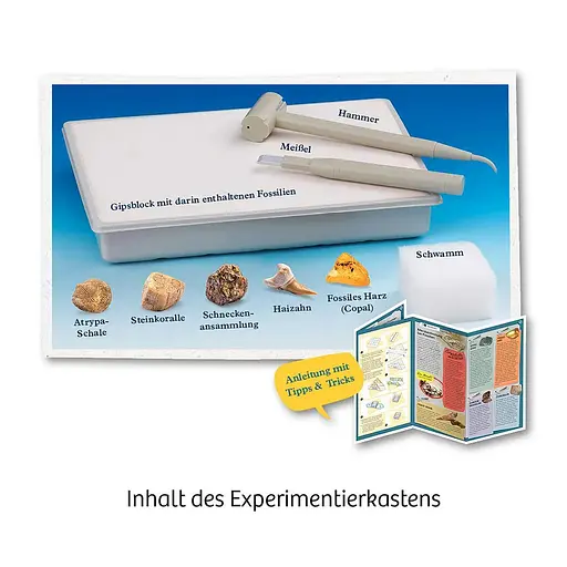 Раскопка окаменелостей Dig Out Fossils Kosmos - Набор для исследования (617226) - фото 2