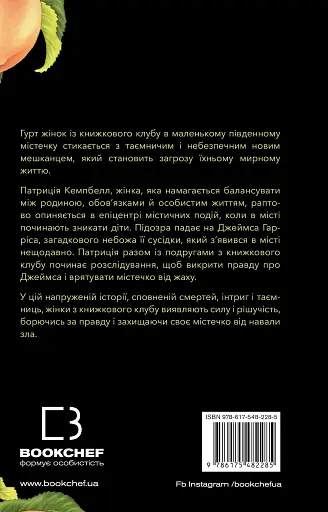 Посібник зі знищення вампірів від Південного книжкового клубу - фото 2