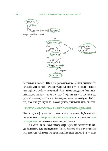 РаціON. Як їжа впливає на нас, а ми на неї - фото 20