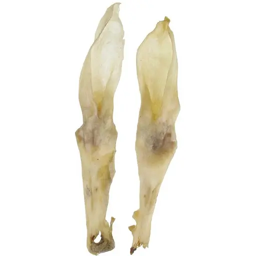 Ласощі для собак TatraPet кроляче вухо сушене біле 20 г 20 см