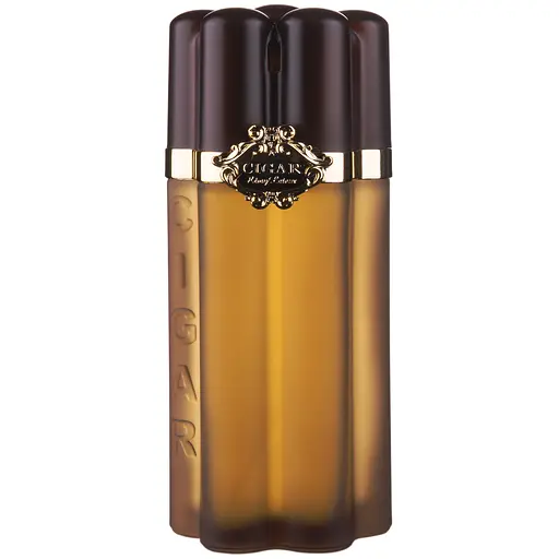 Туалетная вода для мужчин Parfums Parour Cigar 100мл (MM32610)