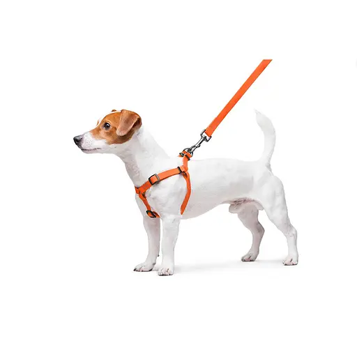 Шлея для собак водостійка Waudog Waterproof з QR-паспортом металічна пряжка-фастекс Ш 15 мм Д 40-55 см помаранчевий - фото 7