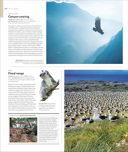 Animal Behaviour: Stories of Instinct, Intelligence and Adaptation - фото 4