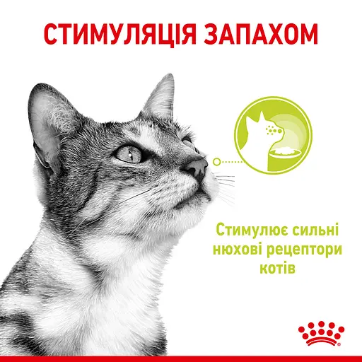 Влажный корм для взрослых кошек Royal Canin Sensory Smell Jellyкусочки в желе 1.02 кг (12 шт. х 85 г) - фото 6