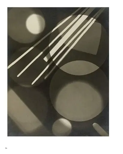 Cameraless Photography. V&A Photography Library Series - фото 5