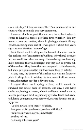 The Travelling Cat Chronicles - фото 3