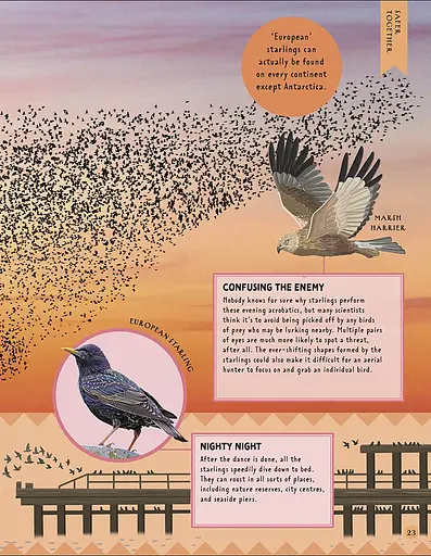 How Not to Get Eaten - фото 6