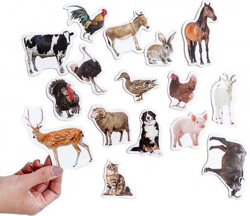 Набор магнитов Magdum "Ферма реалистичные" ML4031-04 EN - фото 2