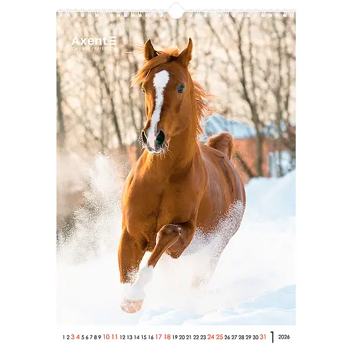 Календар настінний Axent А3 Horses 2026 рік (8804-26-3-A) - фото 2