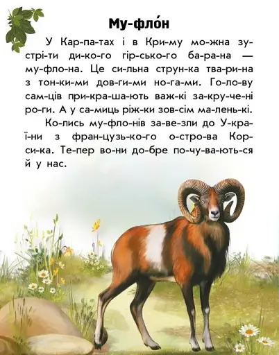 Читаю про Україну. Тварини гір - фото 4