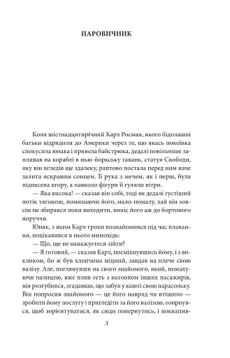 Америка - фото 3