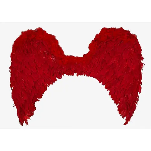 Крылья ангела - фото 2