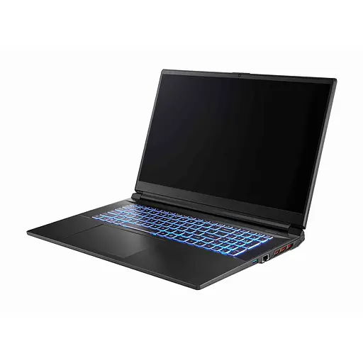 Ноутбук Clevo DreamMachines RG3050-17EU50 i5-13500h 17.3” /RTX3050/500 GB M.2 /16 GB - фото 4