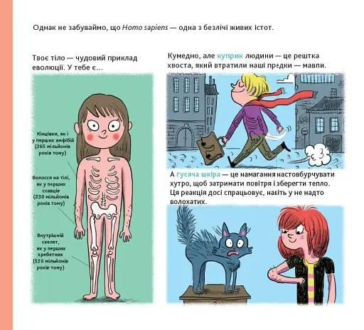 Енциклопедія Історія життя від великого вибуху до тебе - фото 11