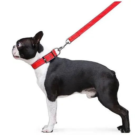 Поводок Dog Extreme из нейлона двойной (ширина 20мм, длина 122см), красный - фото 5