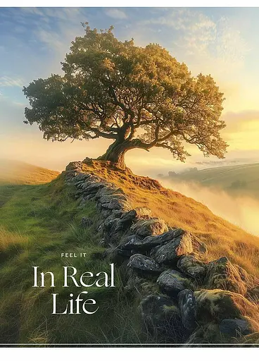 Комплект 4 шт загальних зошитів. Зошит Школярик А5 48 арк. у клітинку 5250 4823088249224 - фото 2