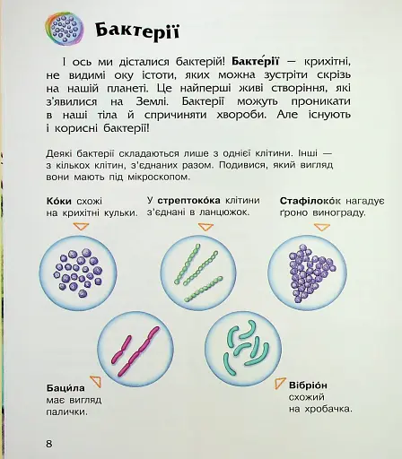 Енциклопедія дошкільника. Мікроби - фото 11