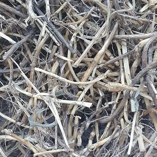 100 г пырей ползучий корень сушеный - свежий урожай