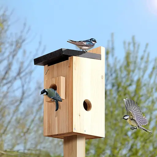 Ideashop Смарт шпаківня з бездротовою камерою 3MP, 13" H підвісний дерев'яний пташиний будиночок для вулиці, зовнішня камера - фото 2